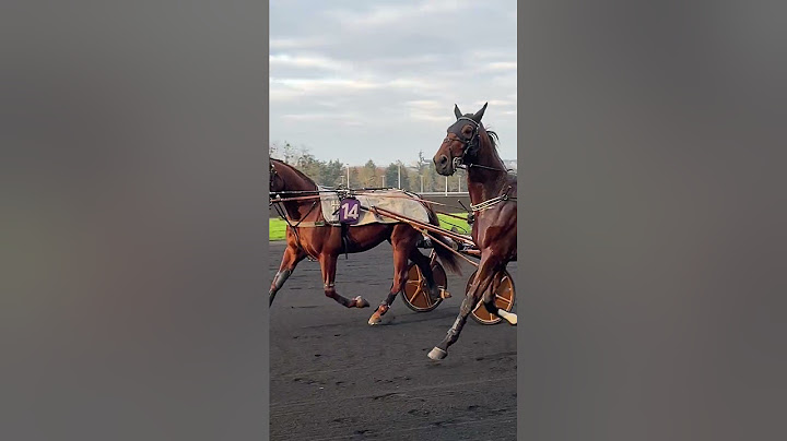 #Course, Amérique Races, Hippodrome Paris Vincennes, France 2025