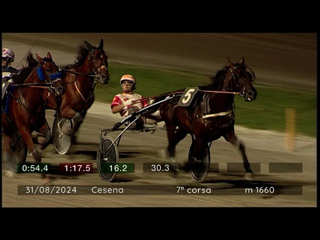 2024 08 31 | Corsa 7 | Metri 1660 | Premio Hippotram