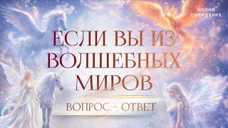 Если вы из волшебных миров | ответы на вопросы