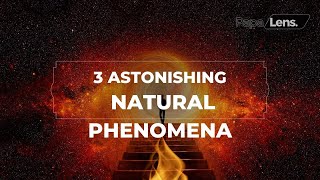 3 Astonishing Natural Phenomena #MarineBiology #ButterflyMigration #EarthBeauty