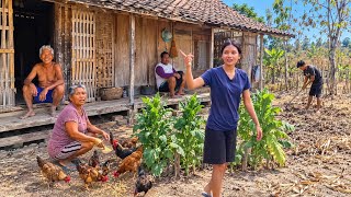 Download lagu An Ancient Village‼️Spacious Garden Yards, Bamboo-Walled Wooden Houses That Feel Like Stepping Ba...