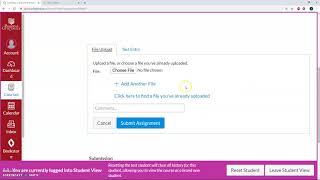 How to Submit Writing (in a doc/docx file) screenshot 2