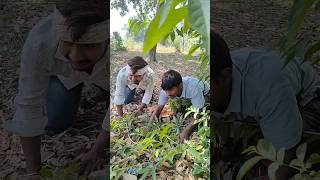 #trending #comedy #viralvideo #shorts #explore #reelstrending #reels #funny #trendingshorts #like