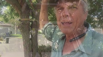 Split Pistash the REPAIR