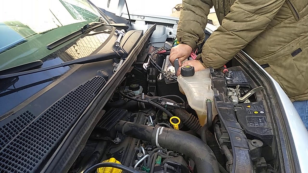 Рено кенго 2 фото