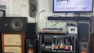 speakers Realistic MC-1800 with grills 50W 8 OHMS