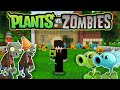 Intente sobrevivir a Plantas vs Zombies en Minecraft Bedrock...