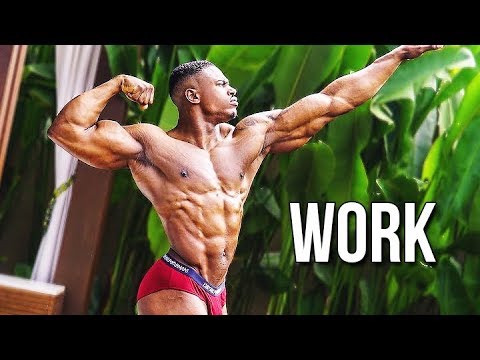 PUT IN WORK - Aesthetic Fitness & Bodybuilding Motivation 