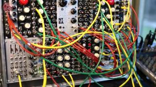 RYO Optodist - Eurorack Module on ModularGrid