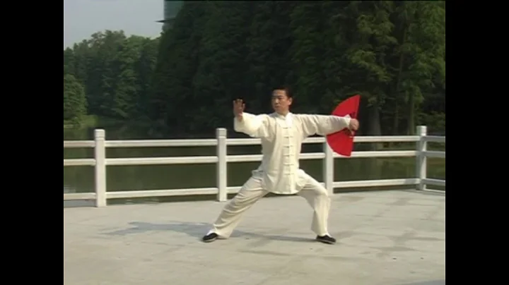 Tai Chi Fan - Tai Ji Shan  - Wang Er Ping
