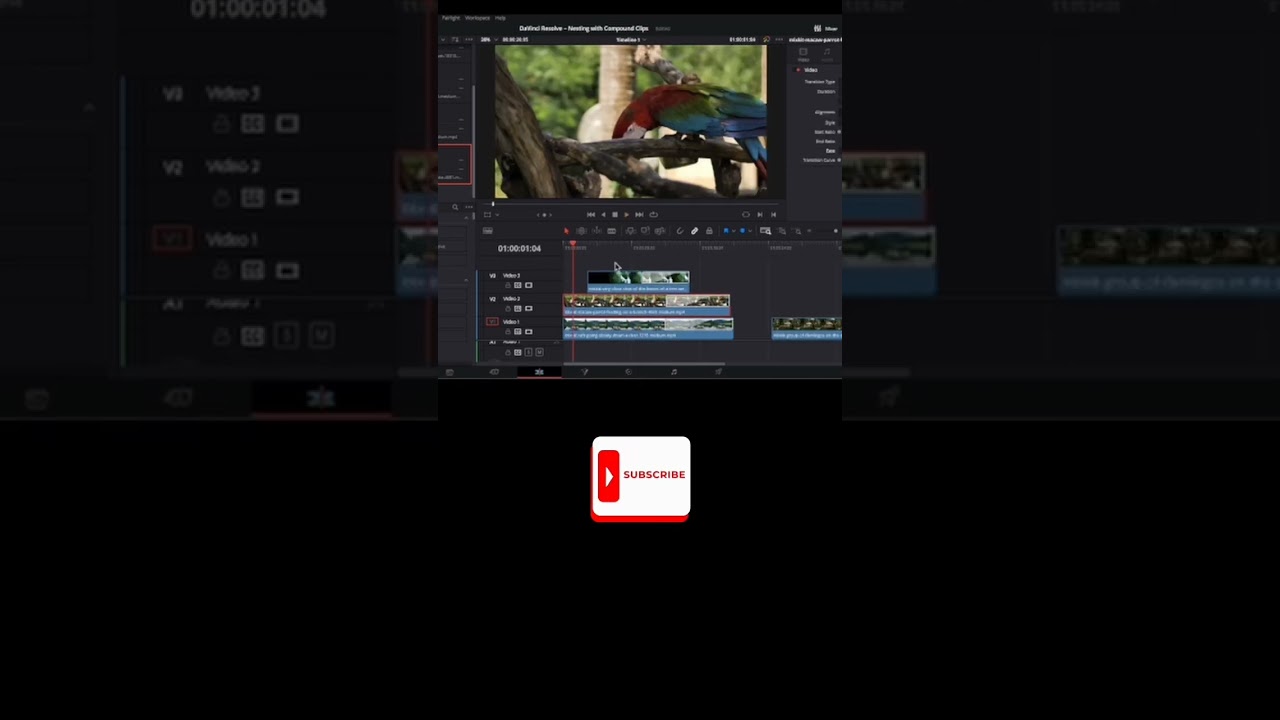 Nesting Clips in DaVinci Resolve 