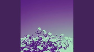 Background for Basic Imagination