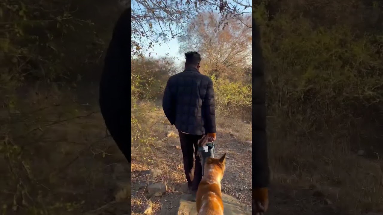 Traveller life on camera 