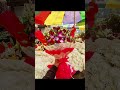 #youtubeshorts #viralreels #flowers #quotes #life #lifelessions #explorepage #trending