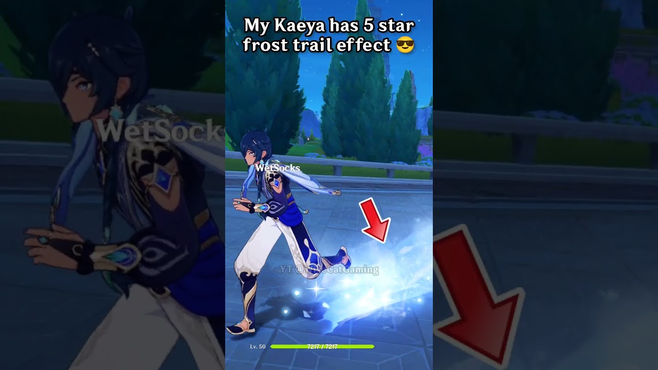 Kaeya ❄️VS🔥 Diluc Echo Effect 