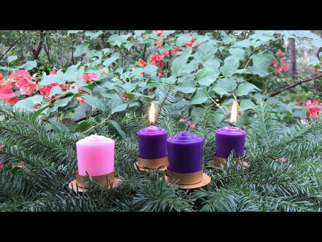 A Vision of Humility - Thursday of the Second Week of Advent