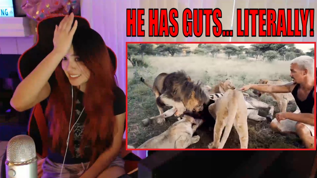 REACTION TO PART OF THE LION PRIDE - DEAN SCHNEIDER LIVING WITH LIONS