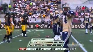 2014 CFL Week 6 Winnipeg Blue Bombers at Hamilton Tiger Cats