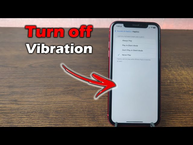 How to Turn OFF Vibration on iPhone | Full Guide