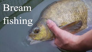 Fishing for Bream with carp tackle - States Lagoon Newlands fishery by Lee Thomas 862 views 5 years ago 24 minutes