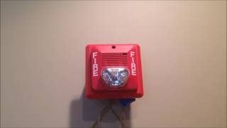 My Play Room's Mini System Test #2.