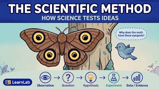 1- The Scientific Method: How Science Tests Ideas #01