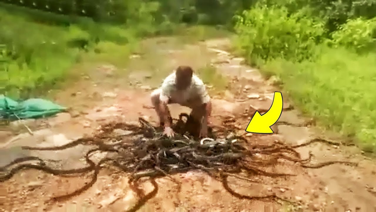 This Weird Footage Will make Your Skin Crawl