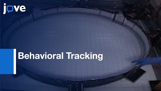 Behavioral Tracking of Freely Swimming Weakly Electric Fish | Protocol Preview