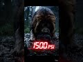 🦁🔥 Lion vs Wolf Ultimate Battle | 1500 PSI Paw Strike Shock! 🐺⚡#LionVsWolf #LionAttack #WolfFight