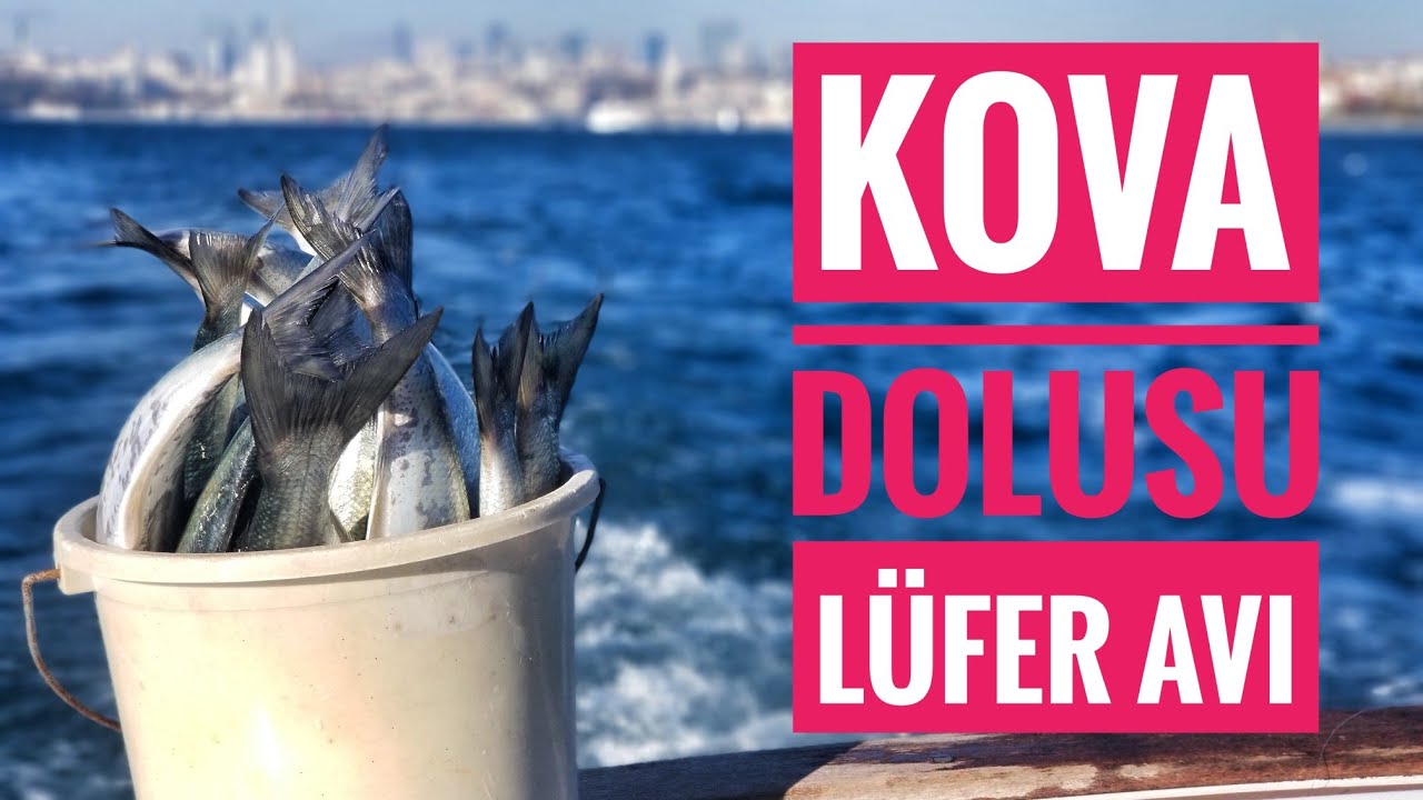 Boğaz'da Kova Dolusu Lüfer Yakaladık