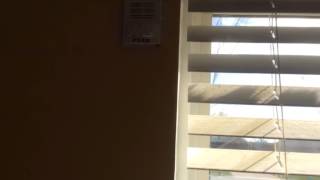 Final test Temporal Code-3
