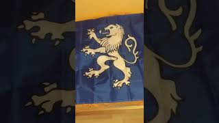 Flagge von Locarno (Schweiz) / Drapeau de Locarno (Suisse) / Bandiera di Locarno (Svizzera) 🏔️⛑️🌲🌼🎄✨