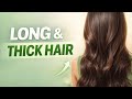 How to Get Long & Thick Hair Naturally 🌿 | 4 Best Things for Hair Growth💇♀️✨