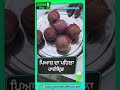 First Hybrid Onion: ਪਿਆਜ਼ ਦਾ ਪਹਿਲਾ ਹਾਈਬ੍ਰਿਡ #onion #shortvideo #shortsfeed #greenmicofficial