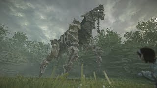 Shadow of the Colossus PS4: Colossus #4 Phaedra Boss Fight