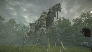 Shadow Of The Colossus Ps4 Colossus Phaedra Boss Fight