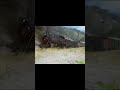 You Don't See Trains Like This Anymore!
