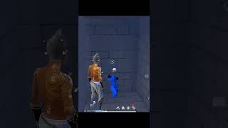 No Caption Needed ......