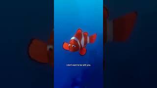 Finding Nemo | Movie Magazine 🎬