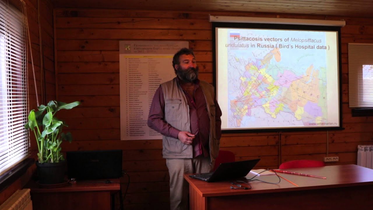 орнитоз 1 часть - YouTube