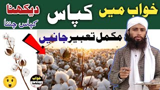 khwab mein kapaas chunana khwab mein cotton dekhna kapas dekhna tabeer urdu screenshot 5