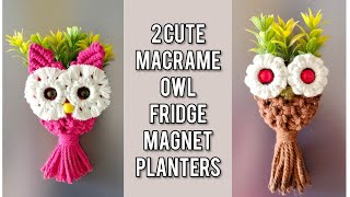 DIY Macrame Owl Fridge Magnet | Cute Owl Planter | Two Easy Macrame Owl Designs for Beginners