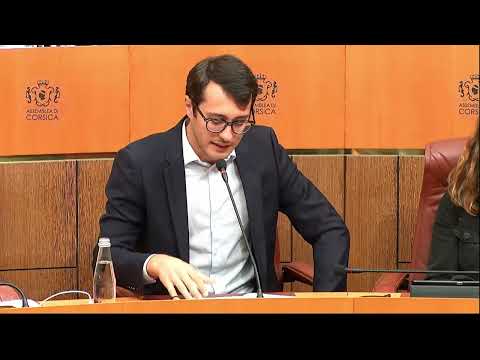 Image du reportage Bilan et actualisation du PPI des infrastructures de transport - Don-Joseph Luccioni (Fà Populu Inseme - Assemblea)