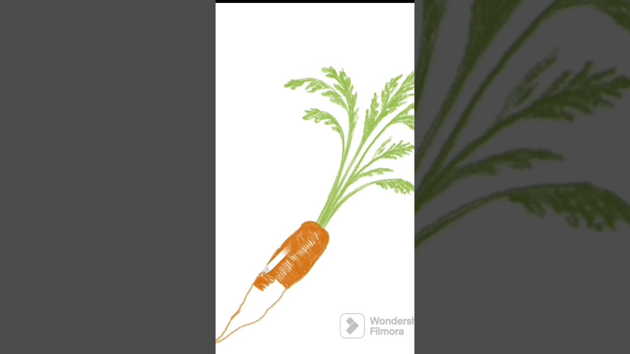 Carrot Drawing Tips: How to Make Your Drawing Realistic 