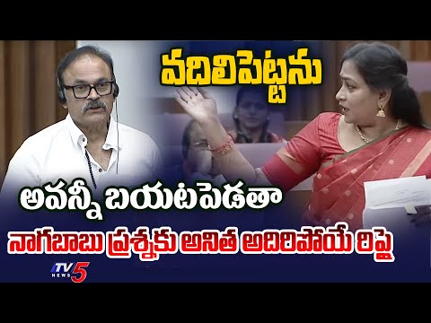 Home Minister Vangalapudi Anitha Reply to Nagababu Question in AP Legislative Council | TV5 News - TV5NEWS