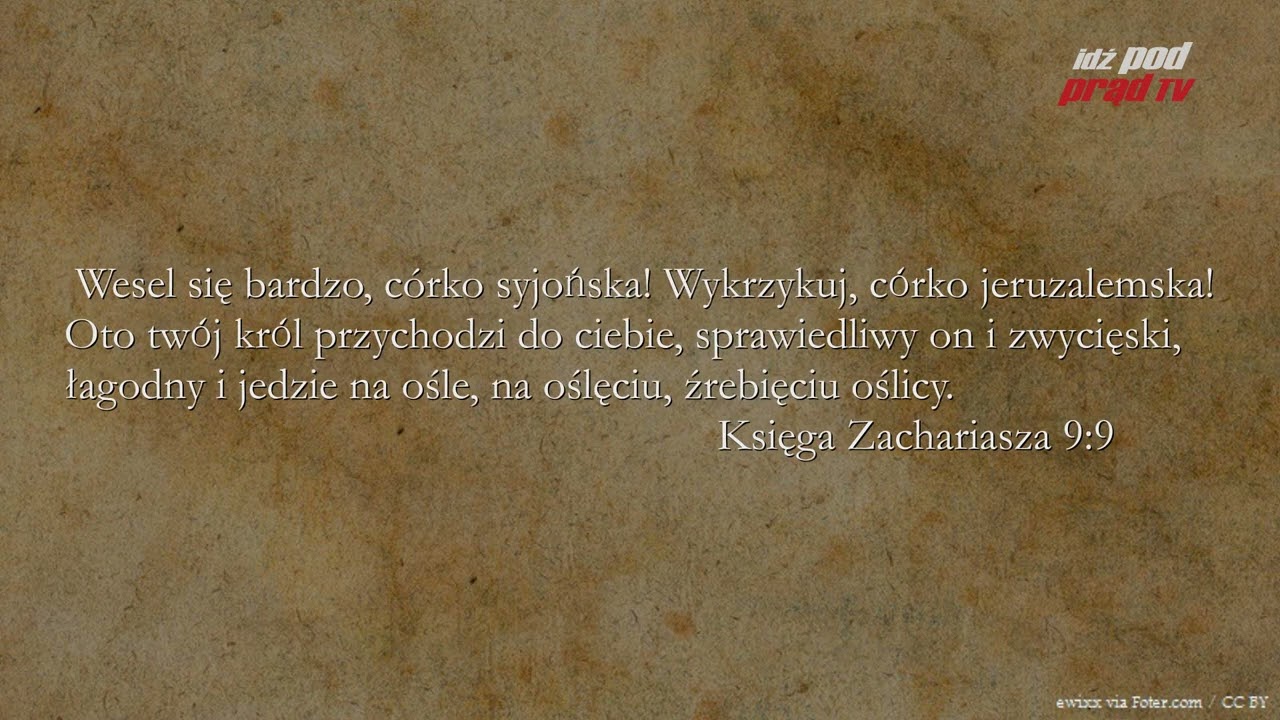BIBLIA NA CO DZIEŃ: Księga Zachariasza #9