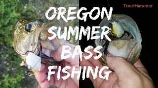Oregon Summer Topwater Bass Fishing