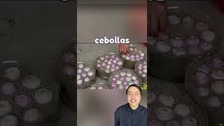 asi de facil puedes sembrar cebolla en casa #shorts