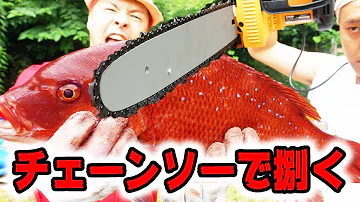 生きたままチェーンソー 生きたままチェーンソー
