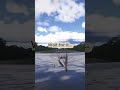 Cessna 172 Overspeed landing #thatdevevia